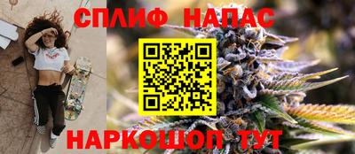 МДПВ Новокубанск